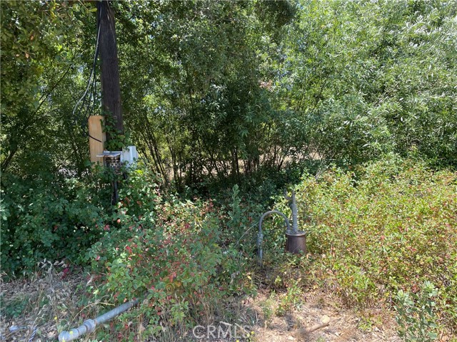 MLS #SW25142307 image #38