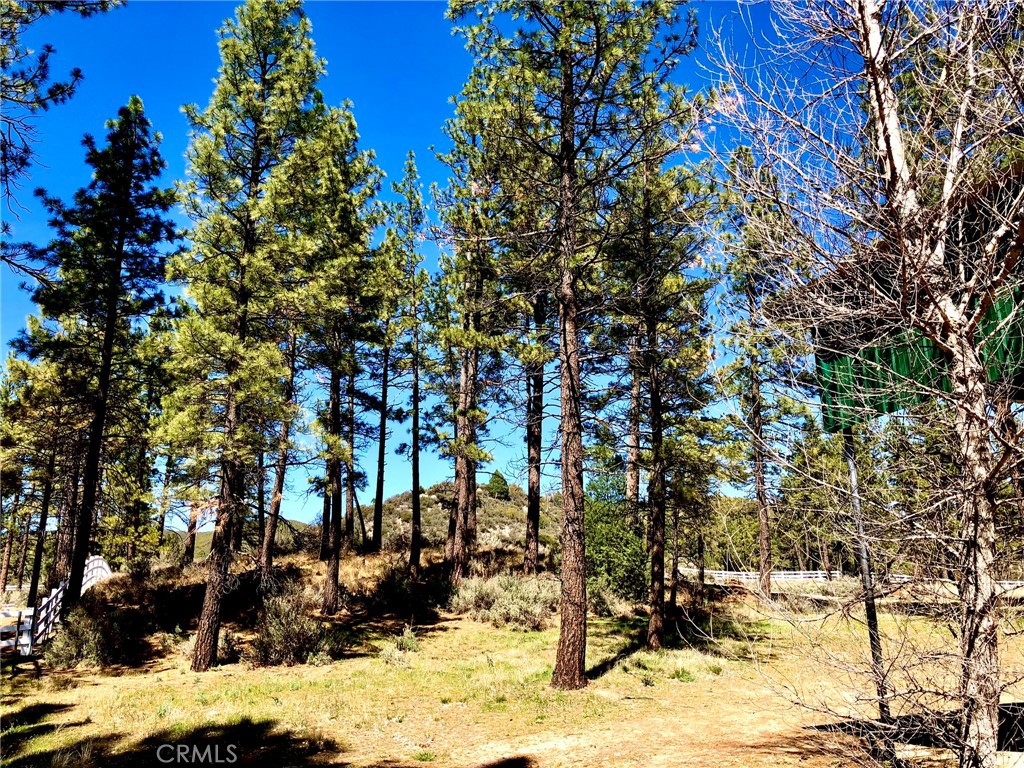 MLS #SW25142741 image #11