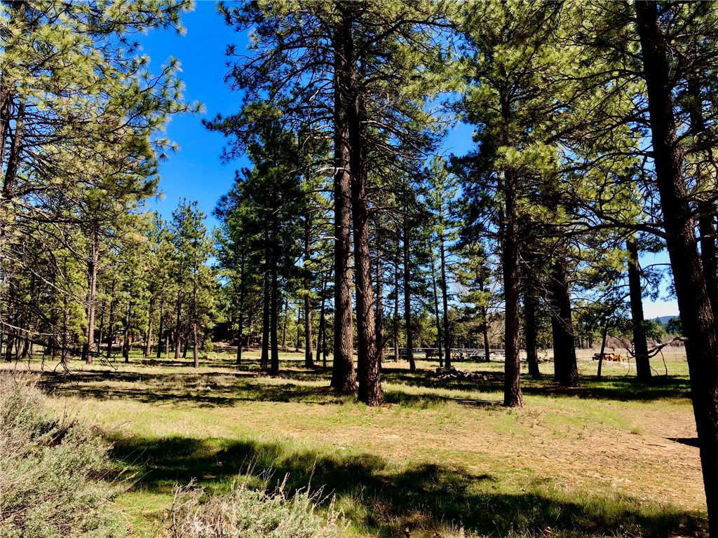 MLS #SW25142741 image #13