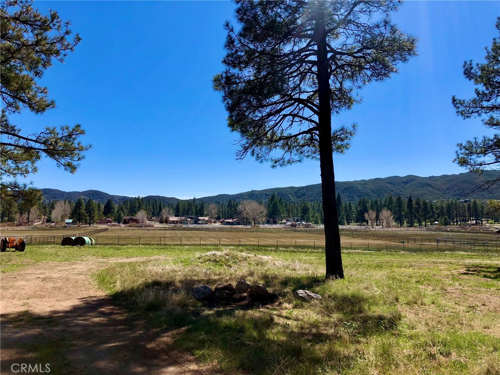 MLS #SW25142741 image #15