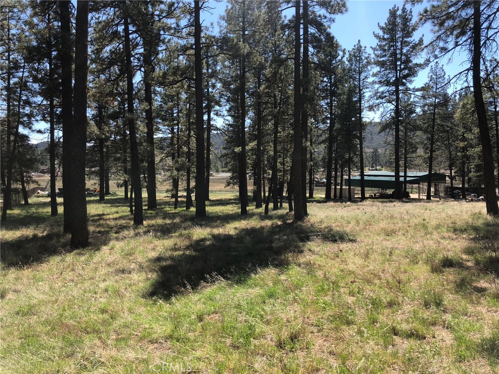 MLS #SW25142741 image #17