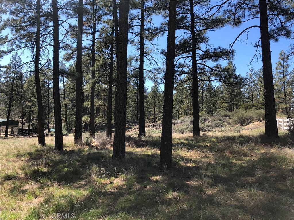 MLS #SW25142741 image #18