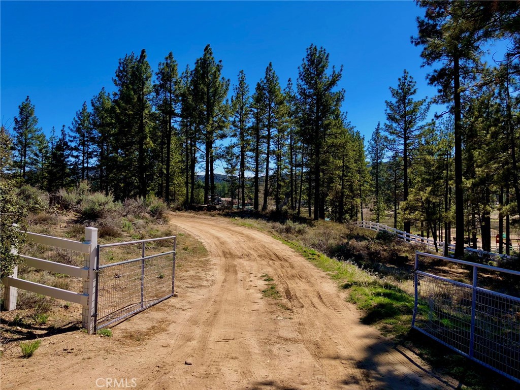 MLS #SW25142741 image #19