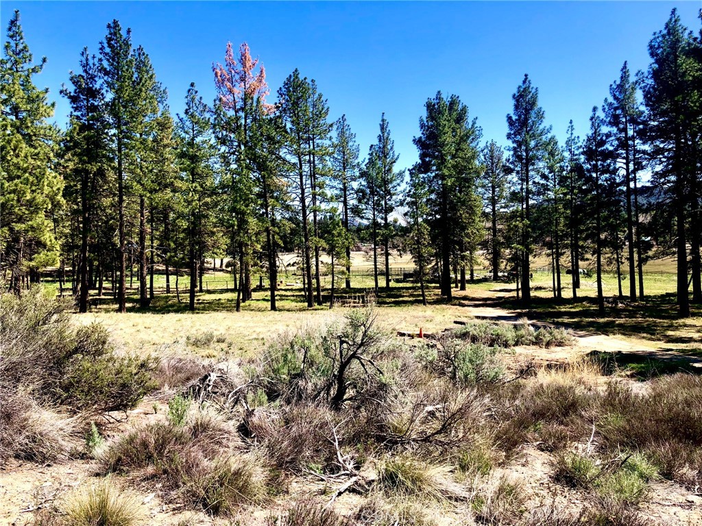 MLS #SW25142741 image #3