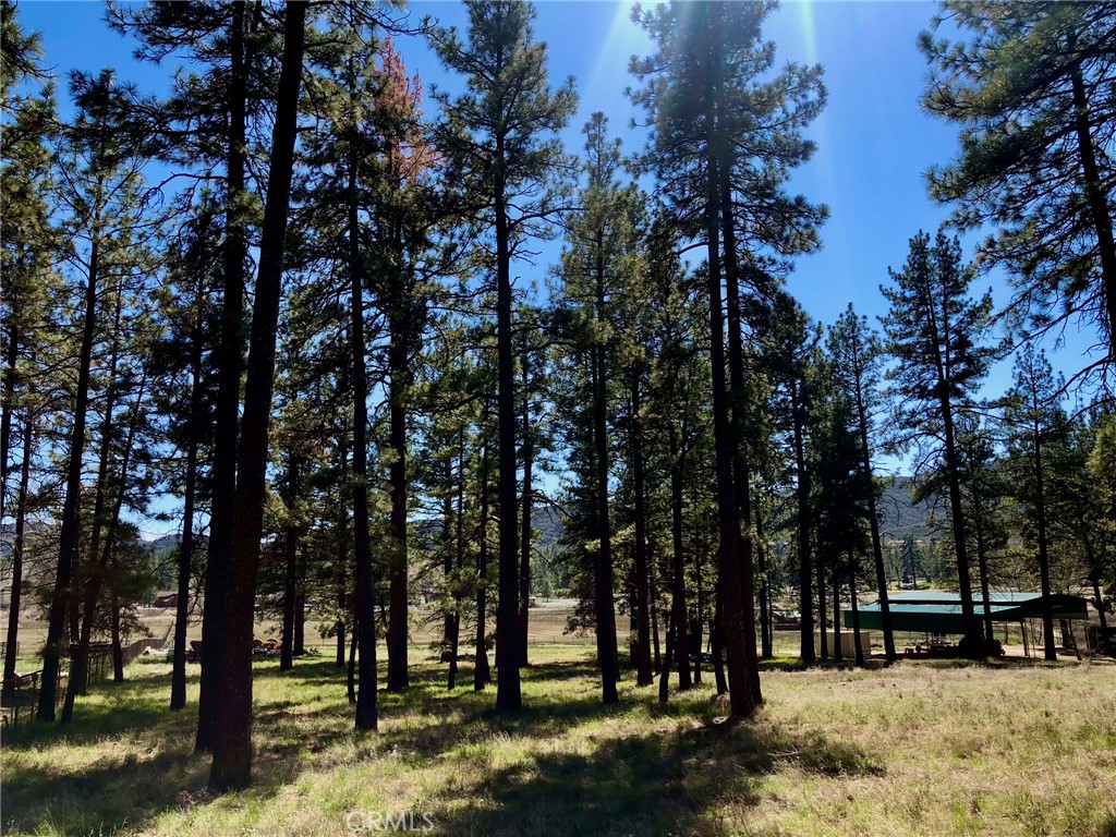 MLS #SW25142741 image #4