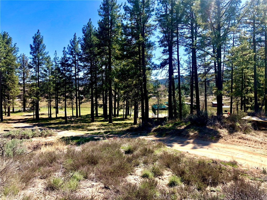 MLS #SW25142741 image #6