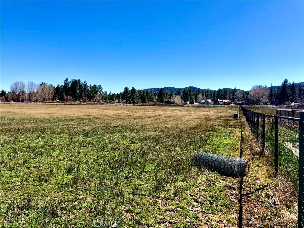 MLS #SW25142741 image #8