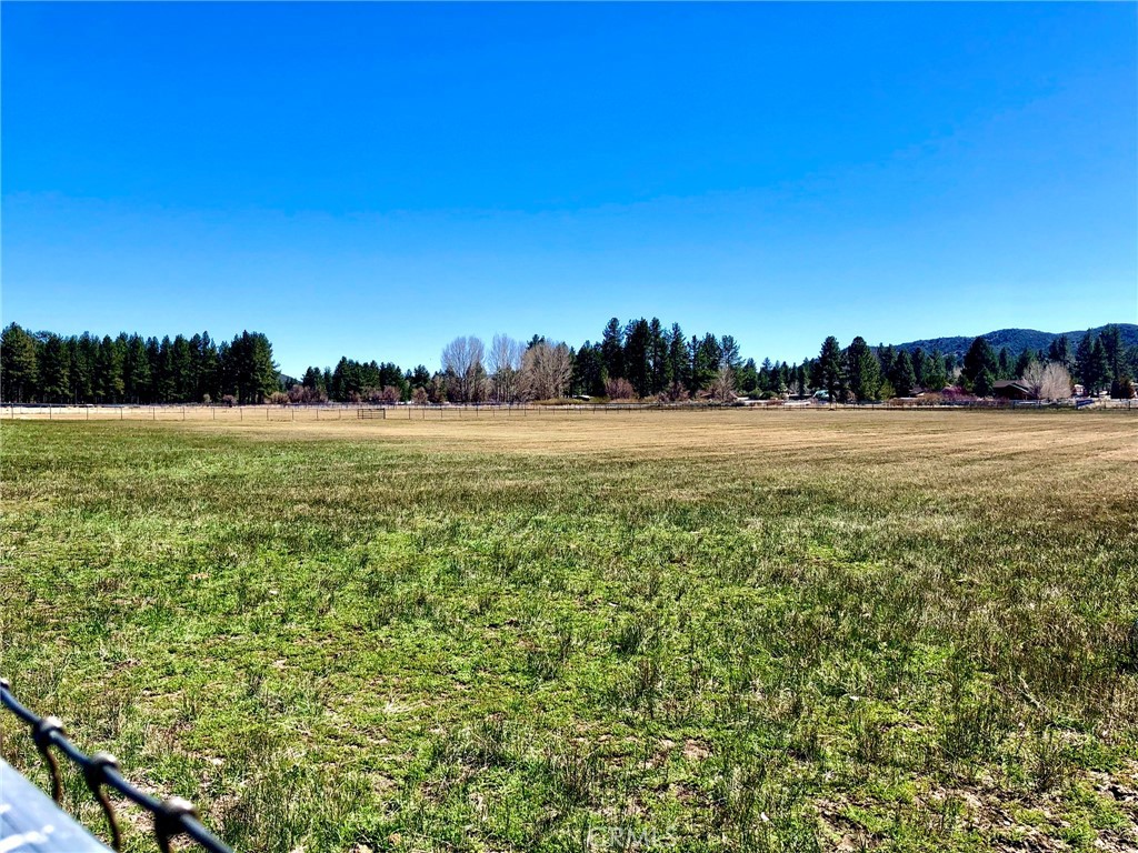 MLS #SW25142741 image #9