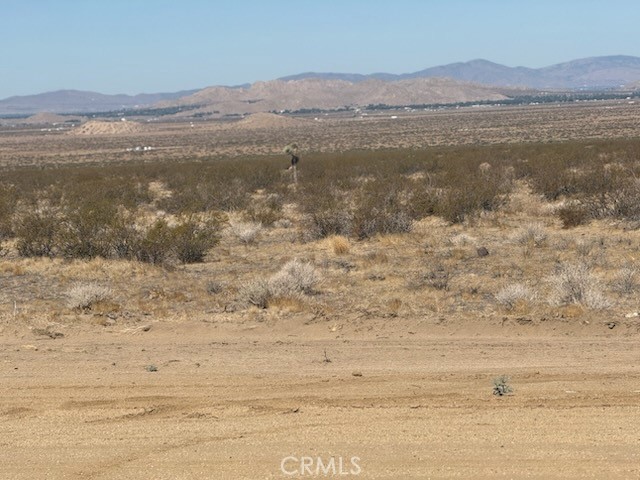 MLS #SW25143368 image #0