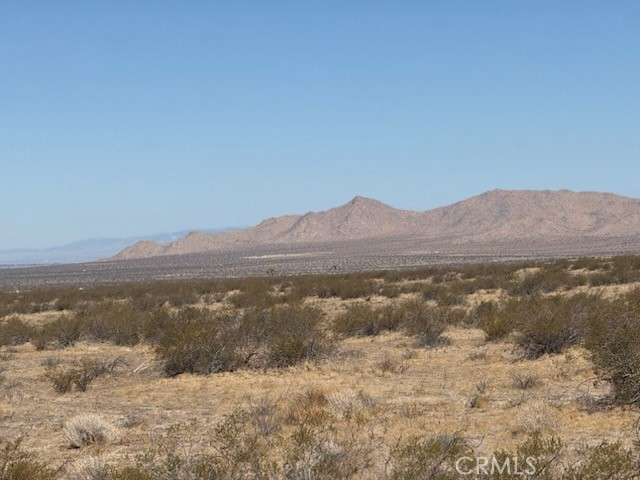 MLS #SW25143368 image #10