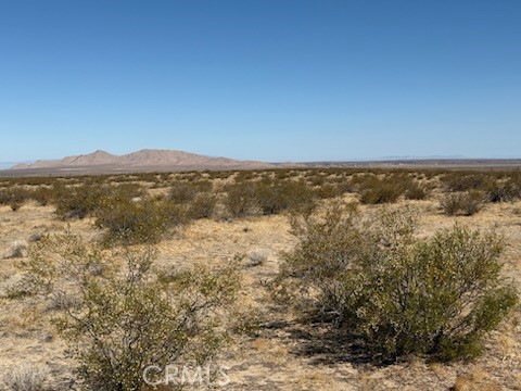 MLS #SW25143368 image #13