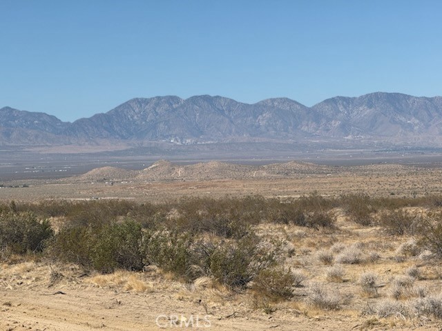 MLS #SW25143368 image #2