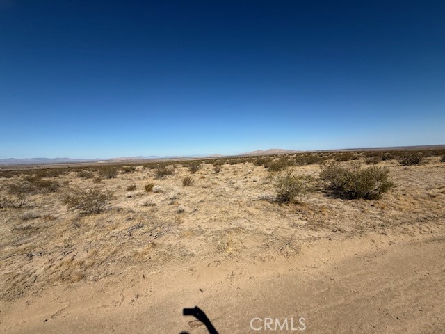 MLS #SW25143368 image #5