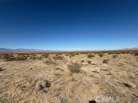 MLS #SW25143368 image #6