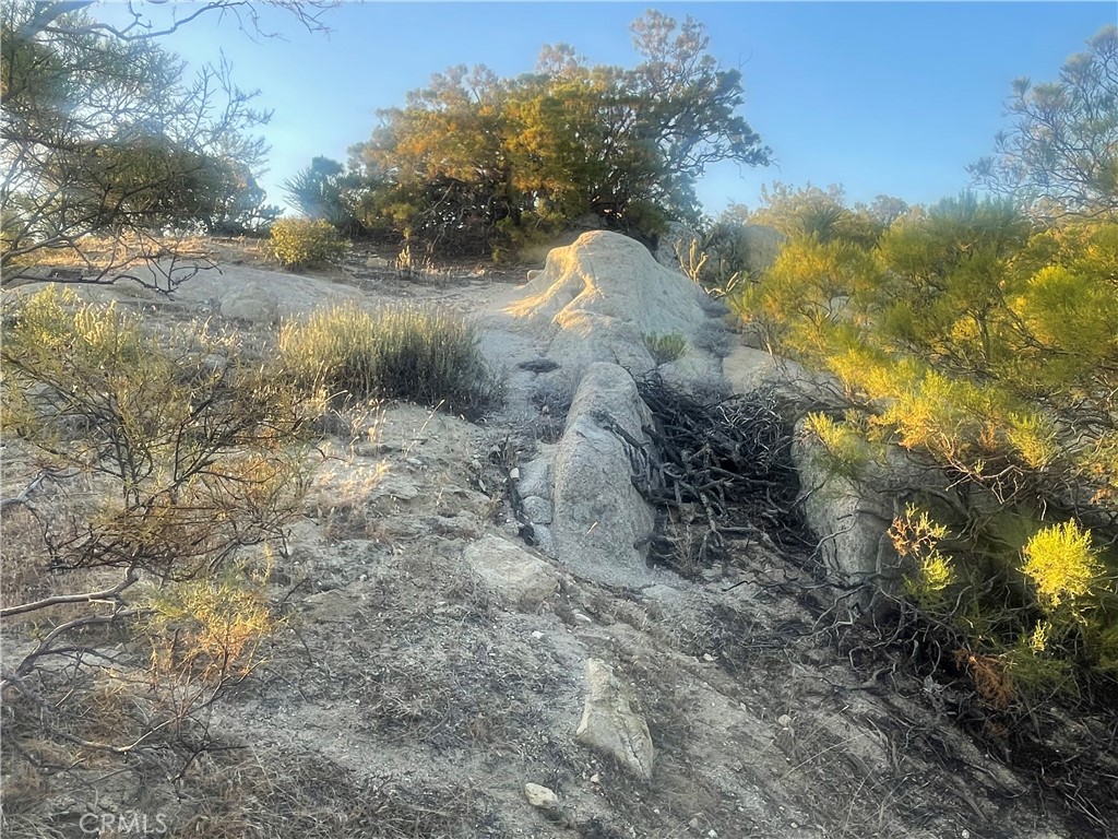 MLS #SW25143622 image #10