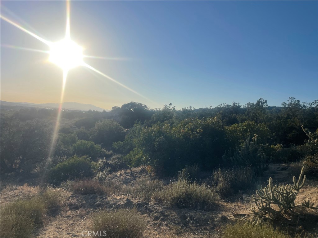 MLS #SW25143622 image #3