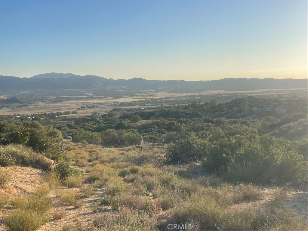 MLS #SW25143622 image #4