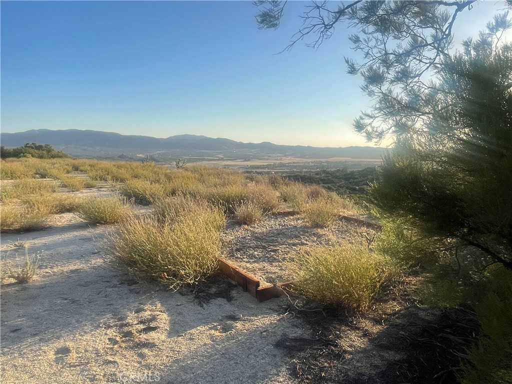 MLS #SW25143622 image #5