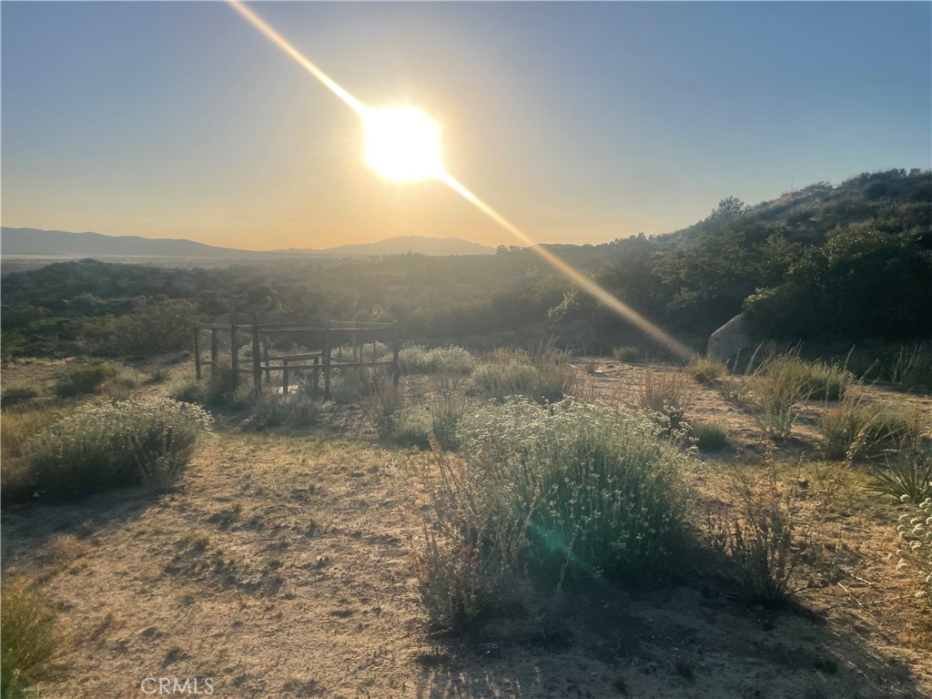 MLS #SW25143622 image #6