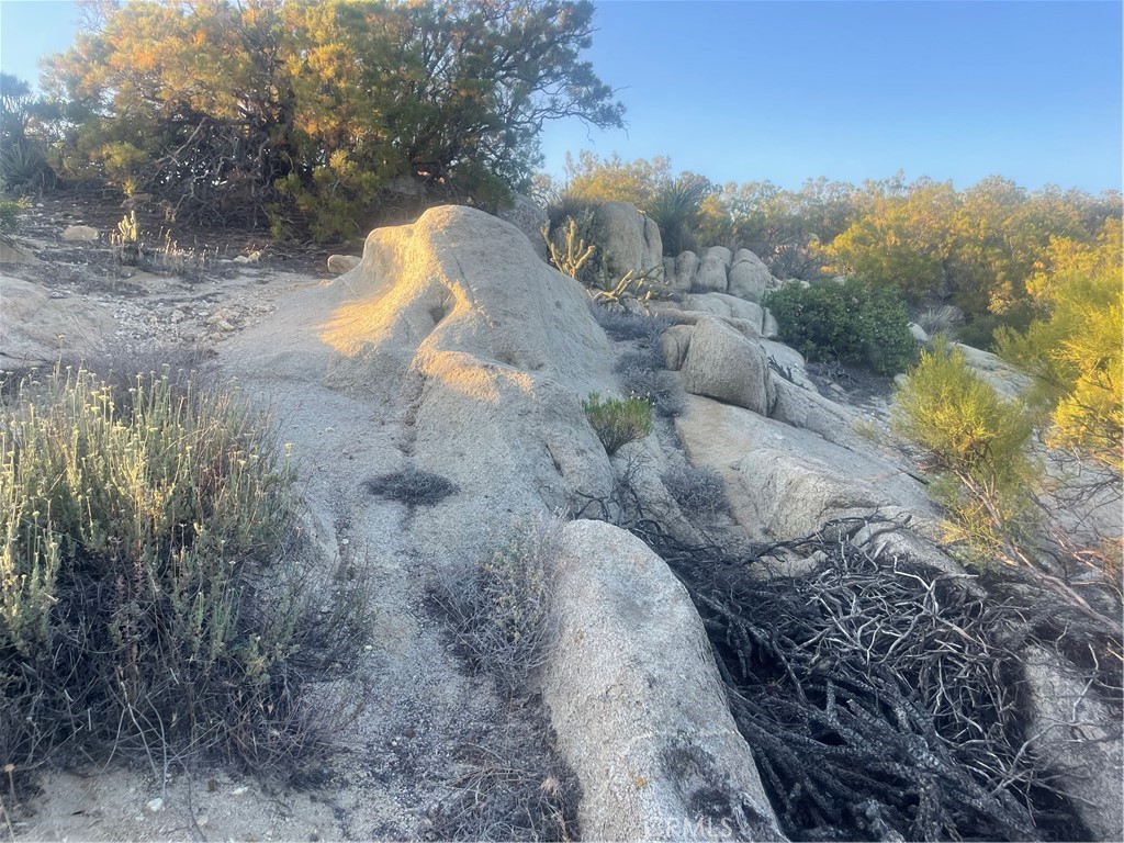 MLS #SW25143622 image #7