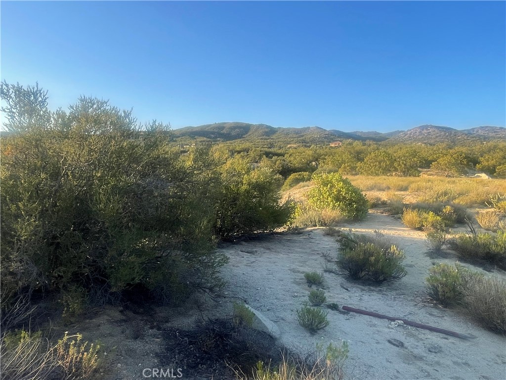 MLS #SW25143622 image #8