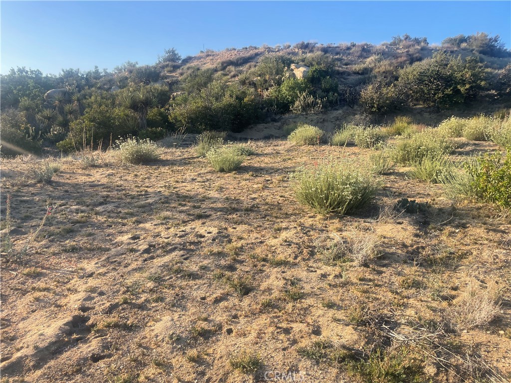 MLS #SW25143622 image #9