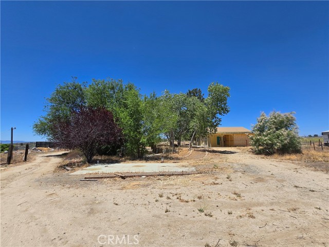 MLS #SW25143845 image #14