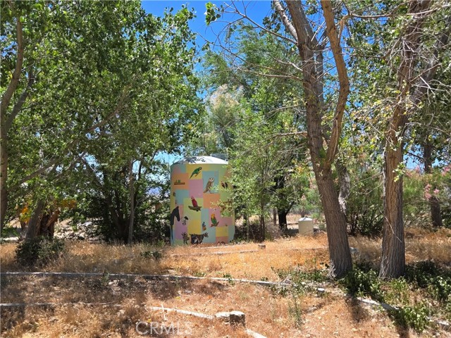 MLS #SW25143845 image #15