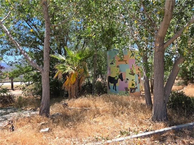 MLS #SW25143845 image #16