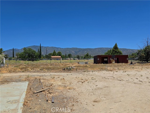 MLS #SW25143845 image #20