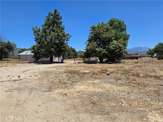 MLS #SW25143845 image #21