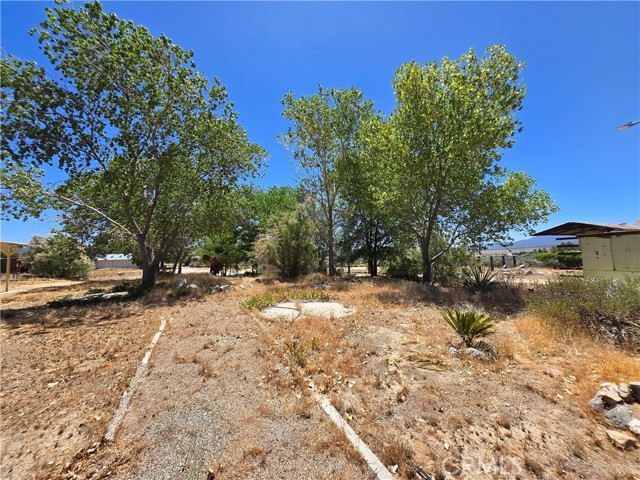 MLS #SW25143845 image #3