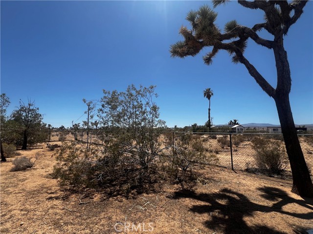 MLS #SW25144551 image #6