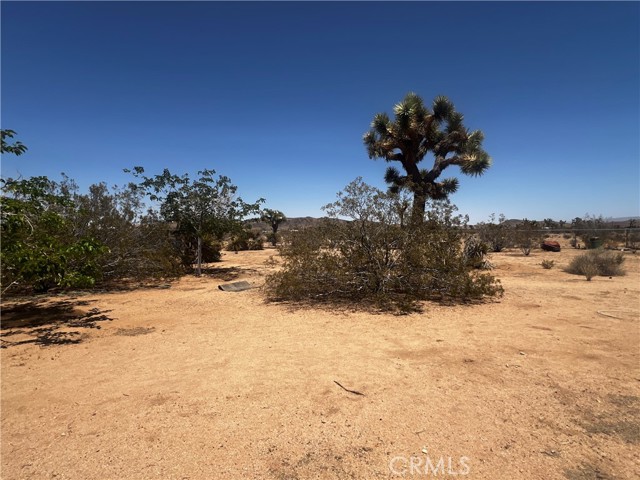 MLS #SW25144551 image #7