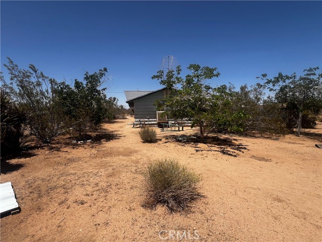 MLS #SW25144551 image #8