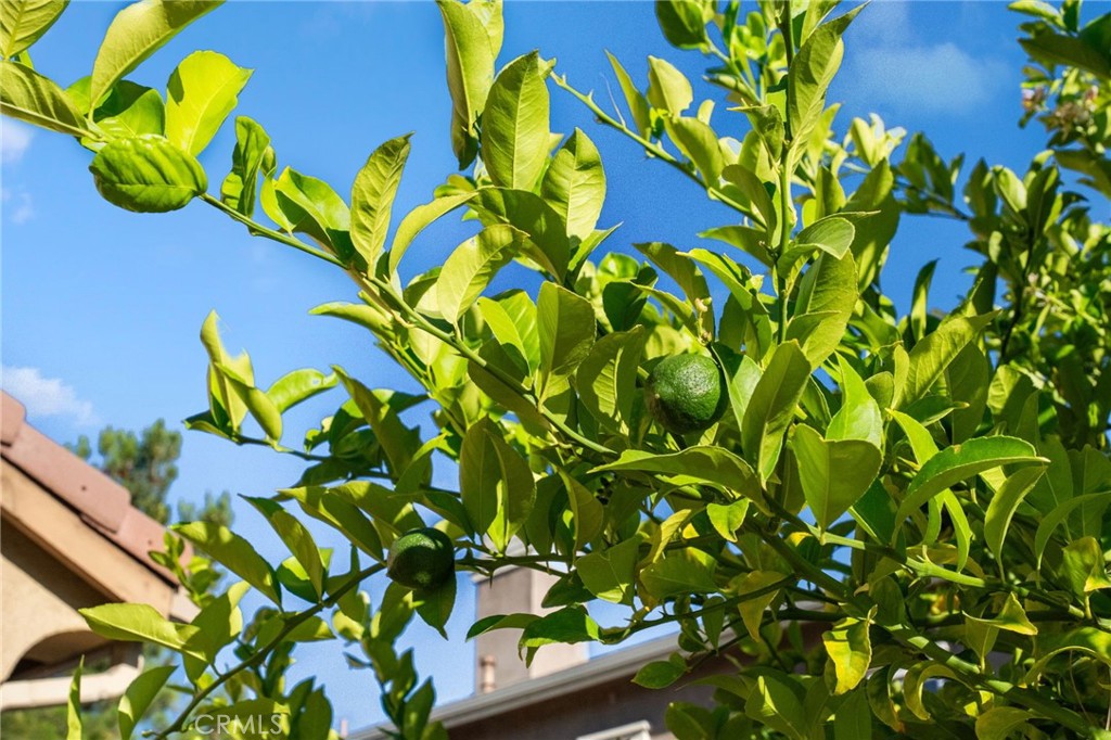 MLS #SW25150335 image #30