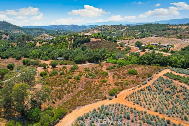 MLS #SW25150394 image #11