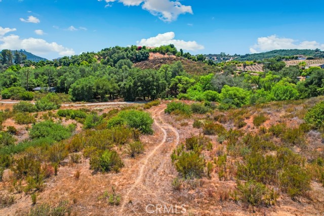 MLS #SW25150394 image #12