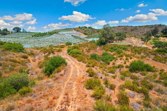 MLS #SW25150394 image #13