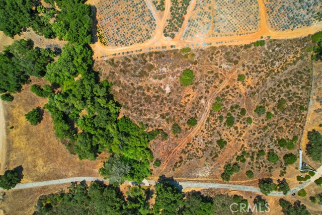 MLS #SW25150394 image #14