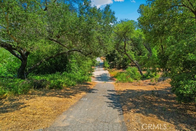 MLS #SW25150394 image #3