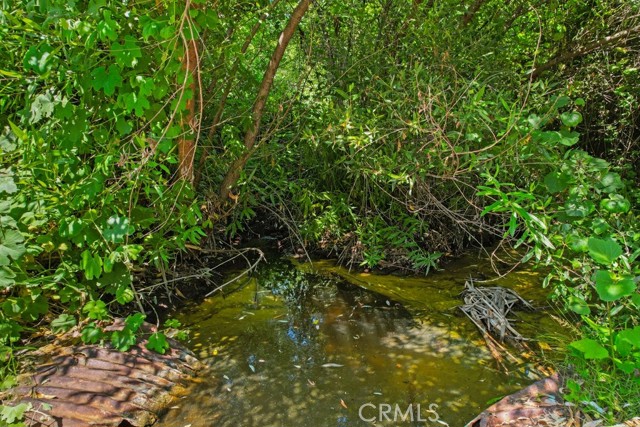 MLS #SW25150394 image #4