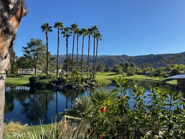 MLS #SW25150642 image #1