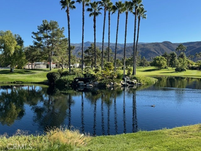 MLS #SW25150642 image #26