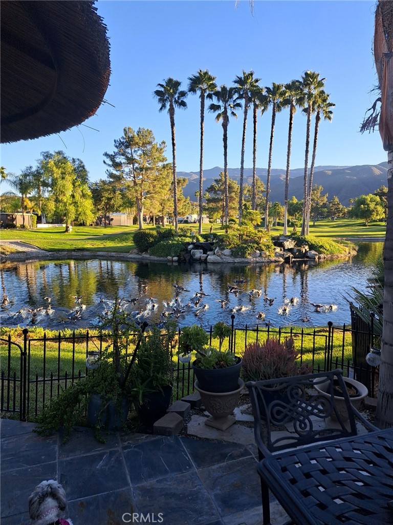 MLS #SW25150642 image #34