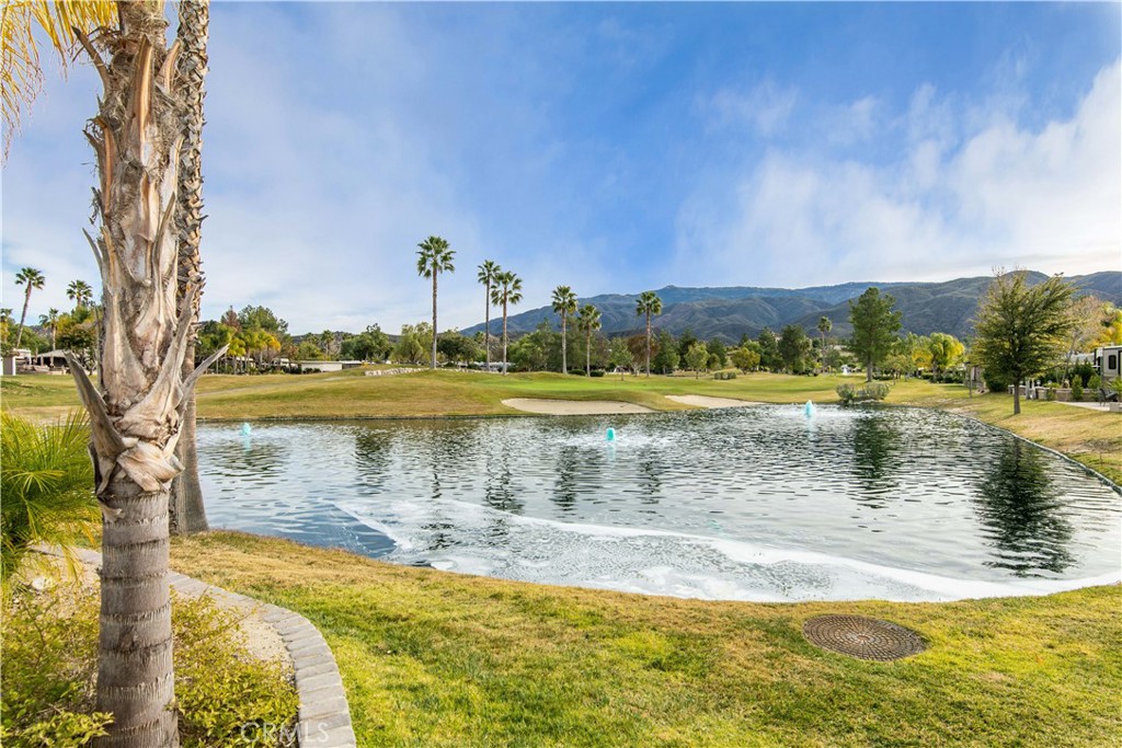 MLS #SW25150642 image #44