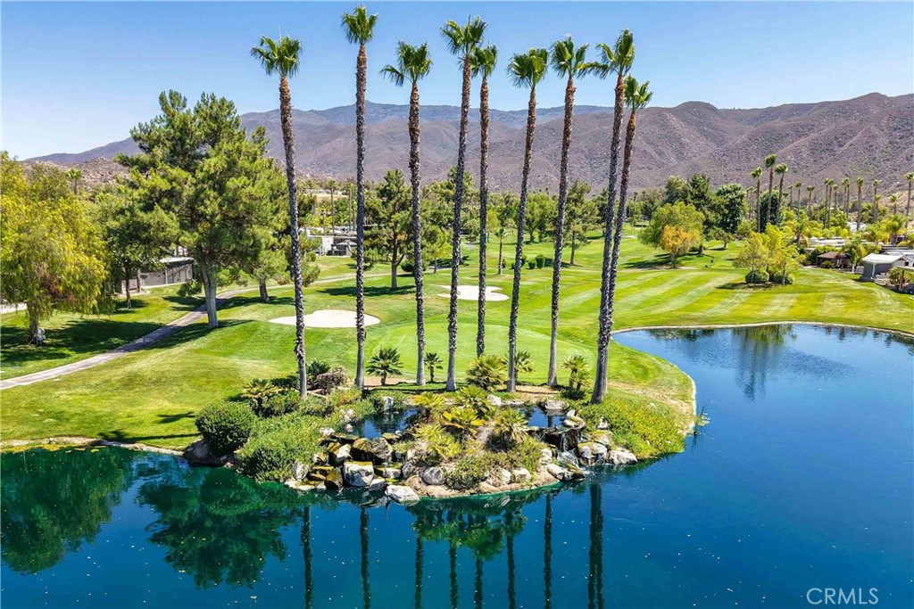 MLS #SW25150642 image #5