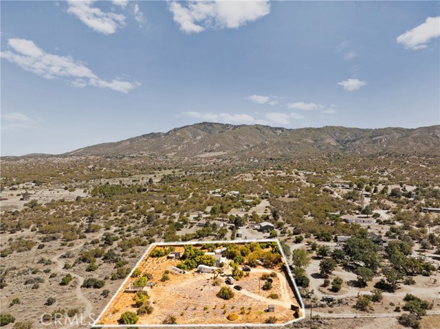MLS #SW25151727 image #7