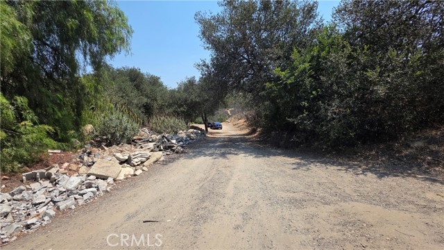 MLS #SW25154174 image #3