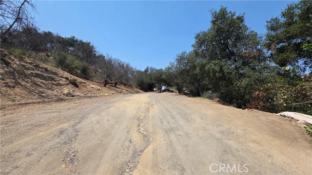 MLS #SW25154174 image #5